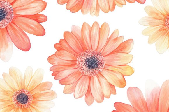 Why a Gerbera Flower Background is a Designer's Secret Weapon
